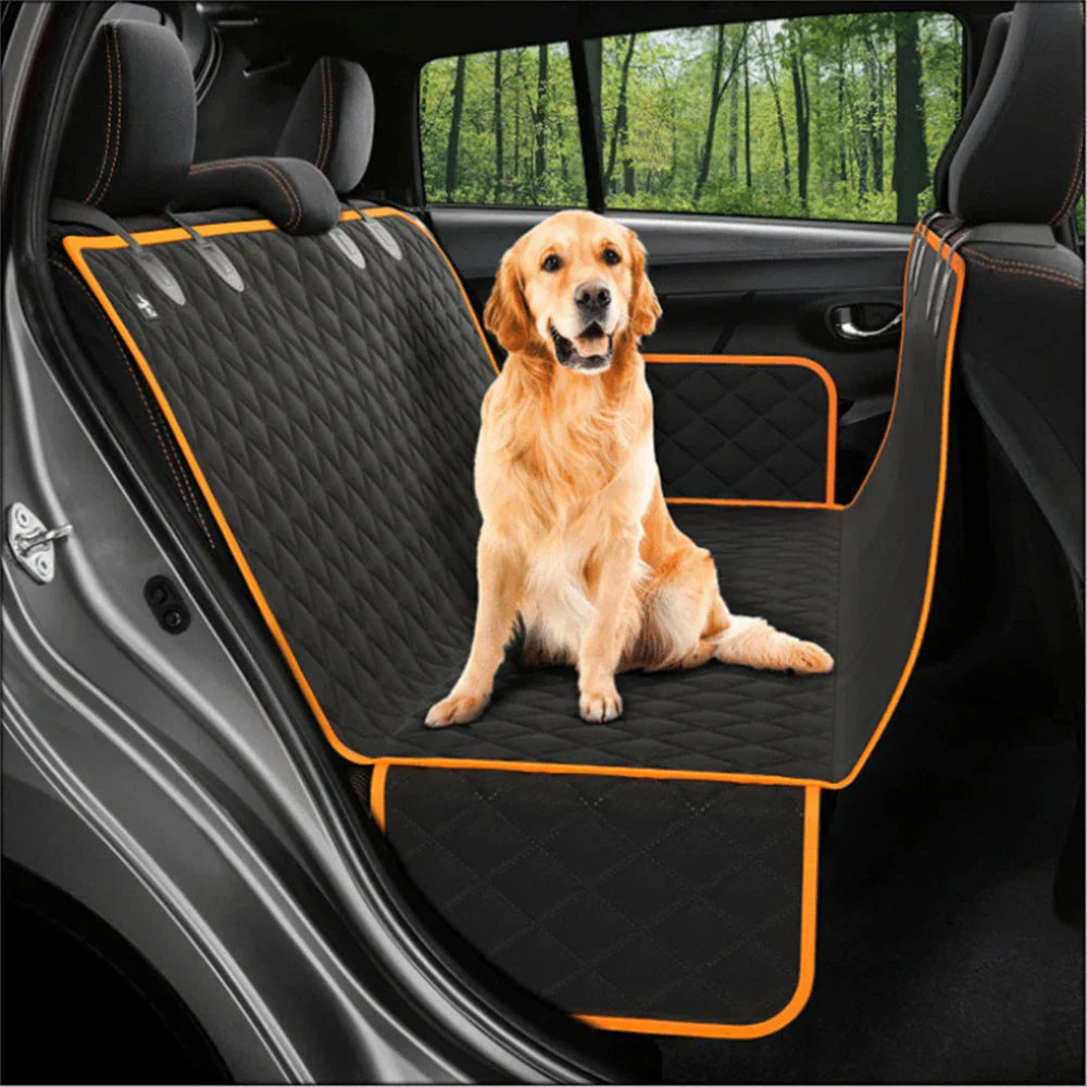 Pet Accessories